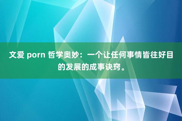 文爱 porn 哲学奥妙：一个让任何事情皆往好目的发展的成事诀窍。