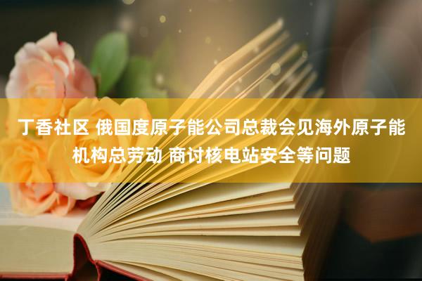 丁香社区 俄国度原子能公司总裁会见海外原子能机构总劳动 商讨核电站安全等问题