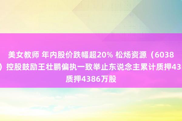 美女教师 年内股价跌幅超20% 松炀资源（603863.SH）控股鼓励王壮鹏偏执一致举止东说念主累计质押4386万股