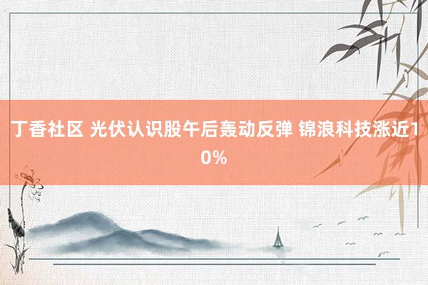 丁香社区 光伏认识股午后轰动反弹 锦浪科技涨近10%