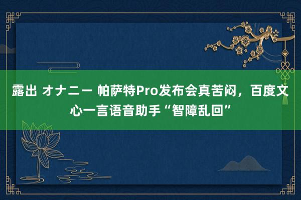 露出 オナニー 帕萨特Pro发布会真苦闷，百度文心一言语音助手“智障乱回”