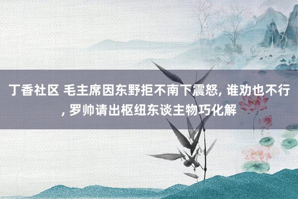 丁香社区 毛主席因东野拒不南下震怒， 谁劝也不行， 罗帅请出枢纽东谈主物巧化解