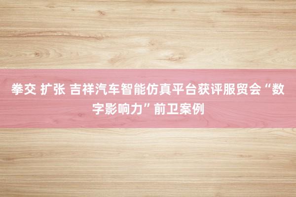 拳交 扩张 吉祥汽车智能仿真平台获评服贸会“数字影响力”前卫案例