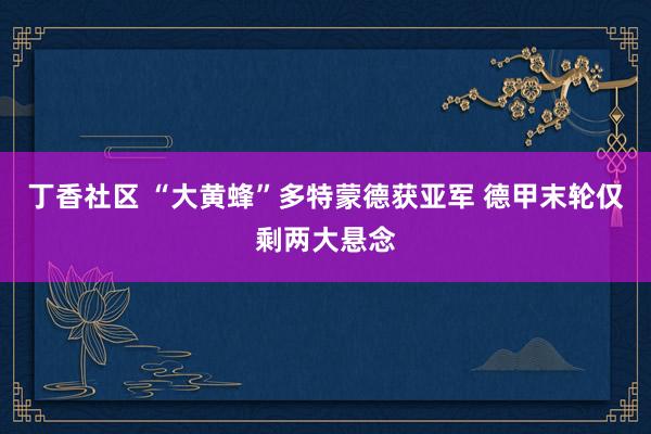 丁香社区 “大黄蜂”多特蒙德获亚军 德甲末轮仅剩两大悬念