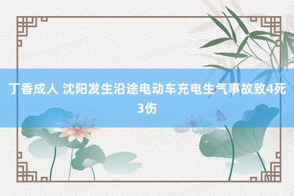 丁香成人 沈阳发生沿途电动车充电生气事故致4死3伤