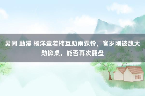 男同 動漫 杨洋章若楠互助雨霖铃，客岁刚被魏大勋掀桌，能否再次翻盘