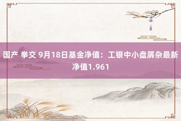 国产 拳交 9月18日基金净值：工银中小盘羼杂最新净值1.961