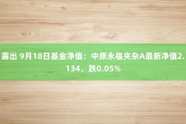 露出 9月18日基金净值：中原永福夹杂A最新净值2.134，跌0.05%