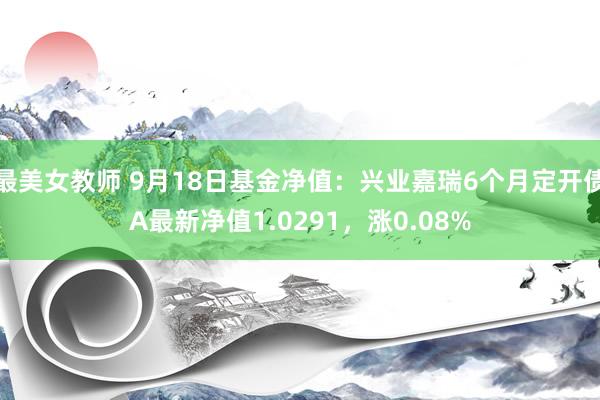 最美女教师 9月18日基金净值：兴业嘉瑞6个月定开债A最新净值1.0291，涨0.08%