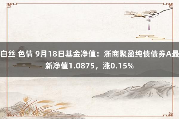 白丝 色情 9月18日基金净值：浙商聚盈纯债债券A最新净值1.0875，涨0.15%