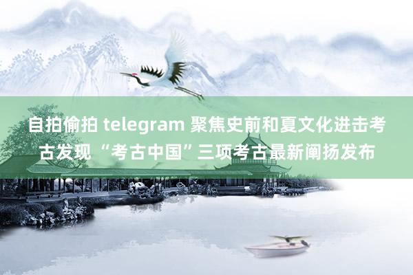 自拍偷拍 telegram 聚焦史前和夏文化进击考古发现 “考古中国”三项考古最新阐扬发布