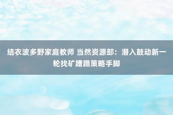 结衣波多野家庭教师 当然资源部：潜入鼓动新一轮找矿蹧蹋策略手脚