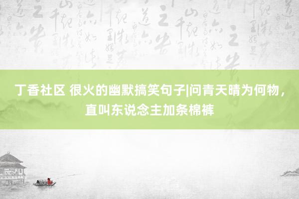 丁香社区 很火的幽默搞笑句子|问青天晴为何物，直叫东说念主加条棉裤