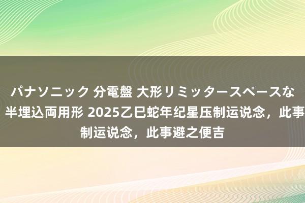 パナソニック 分電盤 大形リミッタースペースなし 露出・半埋込両用形 2025乙巳蛇年纪星压制运说念，此事避之便吉