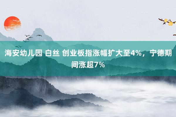 海安幼儿园 白丝 创业板指涨幅扩大至4%，宁德期间涨超7%