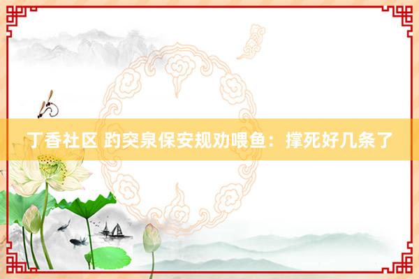 丁香社区 趵突泉保安规劝喂鱼：撑死好几条了