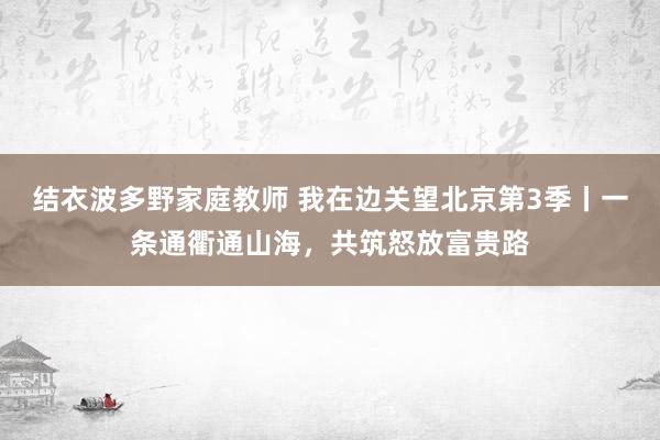 结衣波多野家庭教师 我在边关望北京第3季丨一条通衢通山海，共筑怒放富贵路