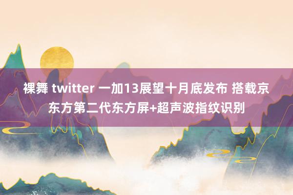 裸舞 twitter 一加13展望十月底发布 搭载京东方第二代东方屏+超声波指纹识别