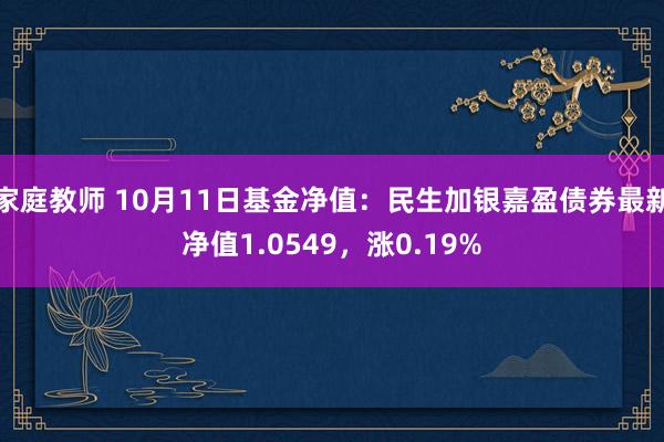 家庭教师 10月11日基金净值：民生加银嘉盈债券最新净值1.0549，涨0.19%