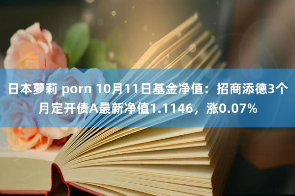 日本萝莉 porn 10月11日基金净值：招商添德3个月定开债A最新净值1.1146，涨0.07%