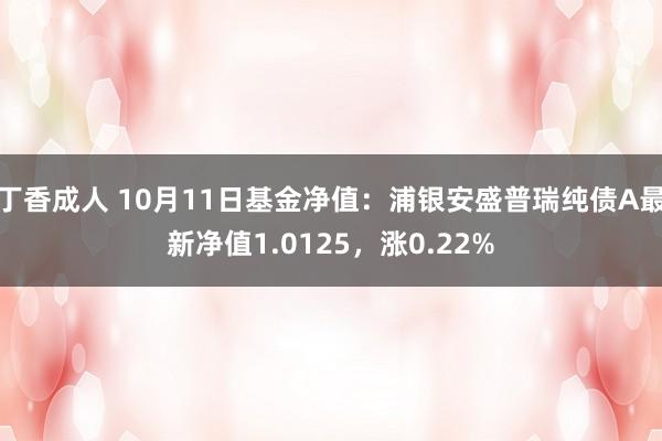 丁香成人 10月11日基金净值：浦银安盛普瑞纯债A最新净值1.0125，涨0.22%