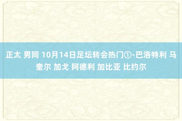 正太 男同 10月14日足坛转会热门①-巴洛特利 马奎尔 加戈 阿德利 加比亚 比约尔