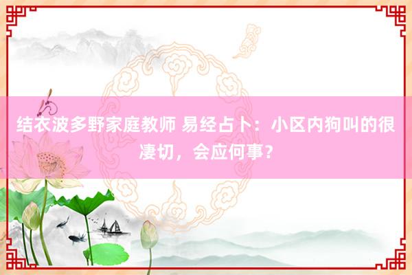 结衣波多野家庭教师 易经占卜：小区内狗叫的很凄切，会应何事？