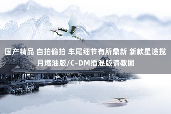 国产精品 自拍偷拍 车尾细节有所鼎新 新款星途揽月燃油版/C-DM插混版请教图