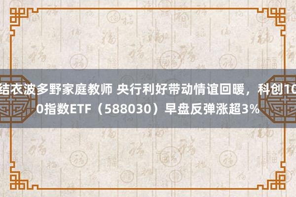 结衣波多野家庭教师 央行利好带动情谊回暖，科创100指数ETF（588030）早盘反弹涨超3%