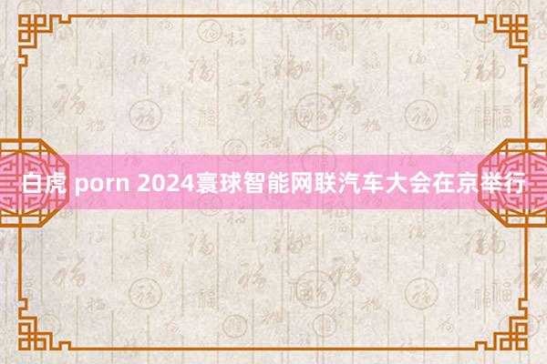 白虎 porn 2024寰球智能网联汽车大会在京举行