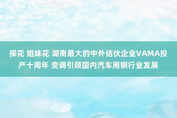 探花 姐妹花 湖南最大的中外结伙企业VAMA投产十周年 变调引颈国内汽车用钢行业发展