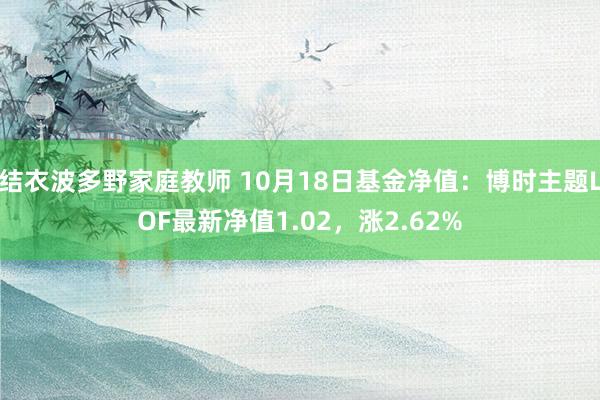 结衣波多野家庭教师 10月18日基金净值：博时主题LOF最新净值1.02，涨2.62%