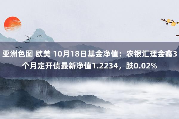 亚洲色图 欧美 10月18日基金净值：农银汇理金鑫3个月定开债最新净值1.2234，跌0.02%