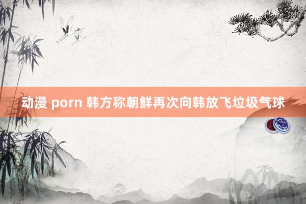 动漫 porn 韩方称朝鲜再次向韩放飞垃圾气球