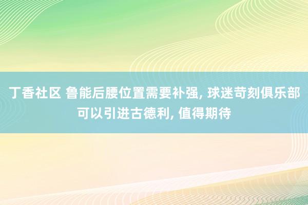 丁香社区 鲁能后腰位置需要补强， 球迷苛刻俱乐部可以引进古德利， 值得期待