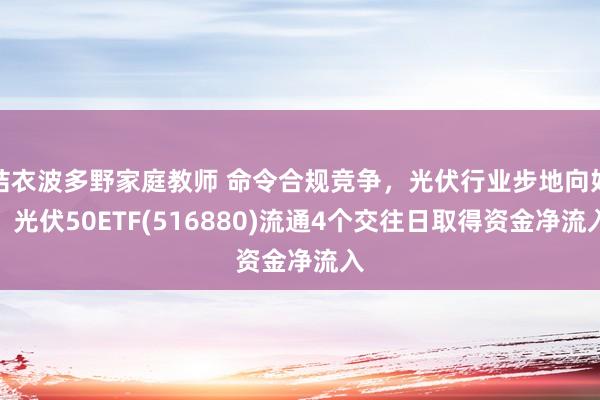 结衣波多野家庭教师 命令合规竞争，光伏行业步地向好！光伏50ETF(516880)流通4个交往日取得资金净流入