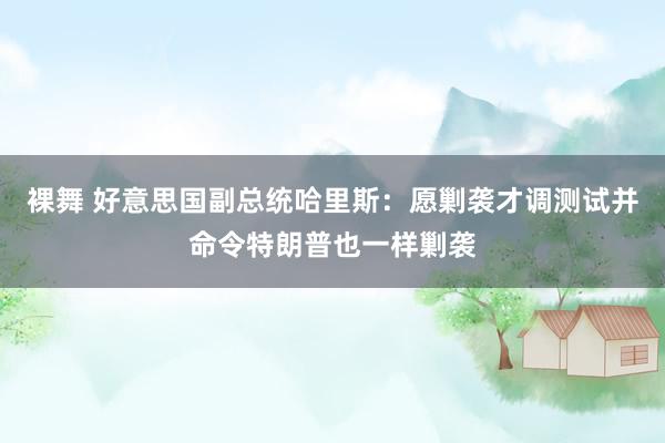 裸舞 好意思国副总统哈里斯：愿剿袭才调测试并命令特朗普也一样剿袭