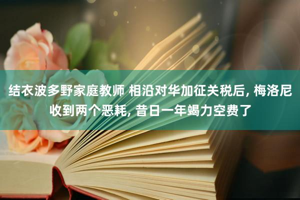 结衣波多野家庭教师 相沿对华加征关税后， 梅洛尼收到两个恶耗， 昔日一年竭力空费了