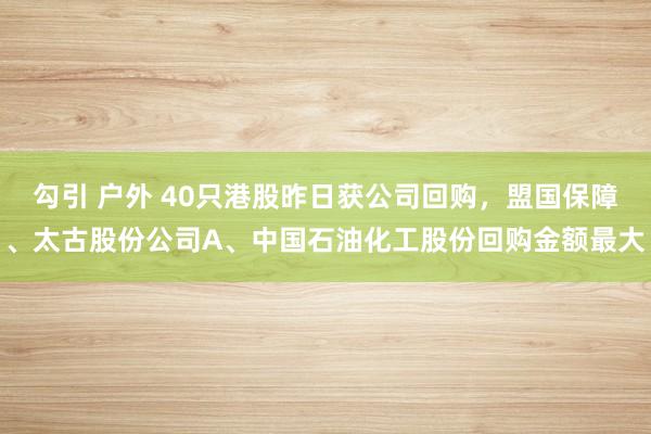 勾引 户外 40只港股昨日获公司回购，盟国保障、太古股份公司A、中国石油化工股份回购金额最大