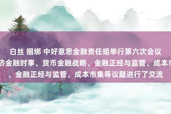 白丝 捆绑 中好意思金融责任组举行第六次会议 两边就两国宏不雅经济金融时事、货币金融战略、金融正经与监管、成本市集等议题进行了交流