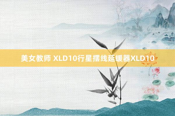 美女教师 XLD10行星摆线延缓器XLD10