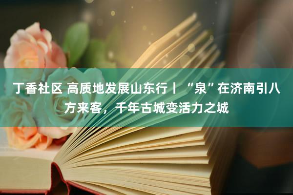 丁香社区 高质地发展山东行丨 “泉”在济南引八方来客，千年古城变活力之城