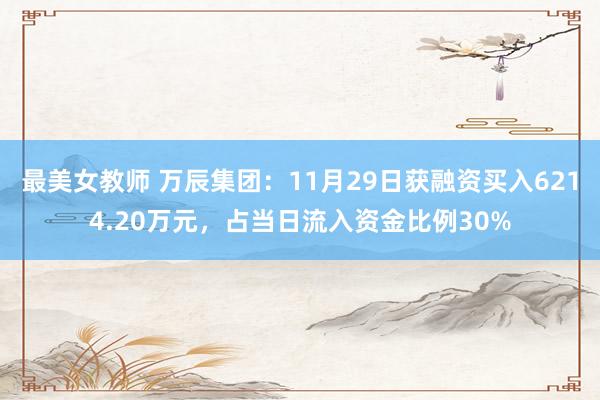 最美女教师 万辰集团：11月29日获融资买入6214.20万元，占当日流入资金比例30%