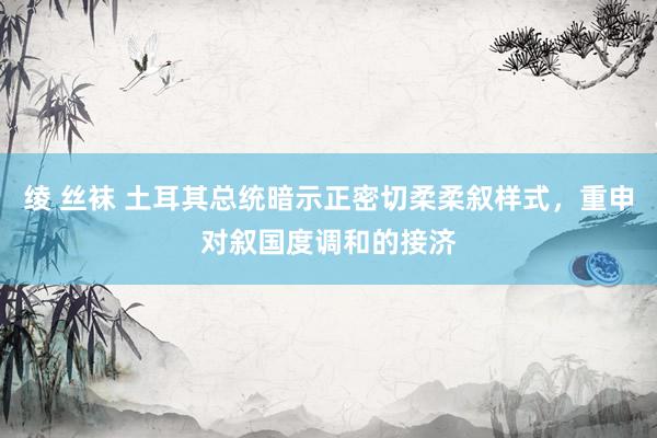 绫 丝袜 土耳其总统暗示正密切柔柔叙样式，重申对叙国度调和的接济