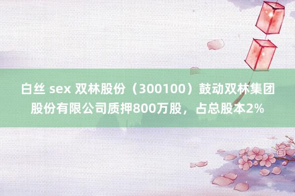 白丝 sex 双林股份（300100）鼓动双林集团股份有限公司质押800万股，占总股本2%