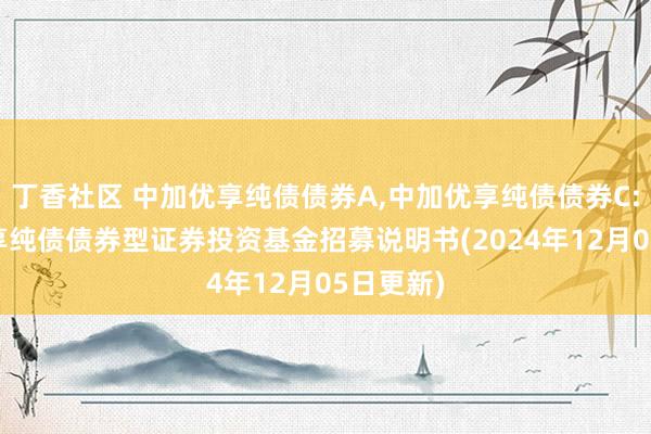 丁香社区 中加优享纯债债券A，中加优享纯债债券C: 中加优享纯债债券型证券投资基金招募说明书(2024年12月05日更新)