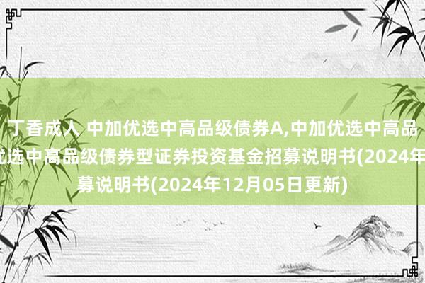 丁香成人 中加优选中高品级债券A，中加优选中高品级债券C: 中加优选中高品级债券型证券投资基金招募说明书(2024年12月05日更新)