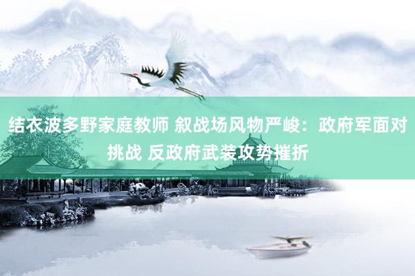 结衣波多野家庭教师 叙战场风物严峻：政府军面对挑战 反政府武装攻势摧折