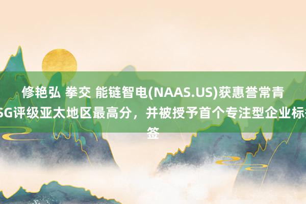 修艳弘 拳交 能链智电(NAAS.US)获惠誉常青ESG评级亚太地区最高分，并被授予首个专注型企业标签