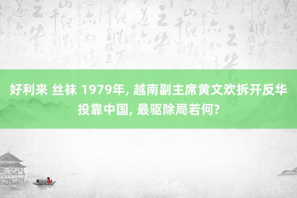 好利来 丝袜 1979年， 越南副主席黄文欢拆开反华投靠中国， 最驱除局若何?